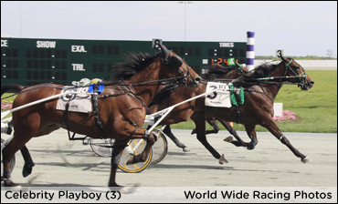 Celebrity Playboy Steals Chester Spotlight