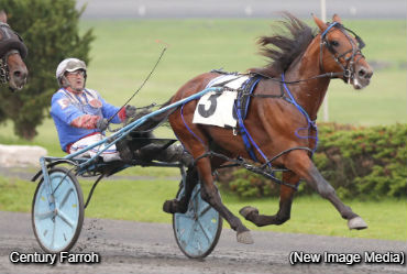 Stars Spar In Somebeachsomewhere