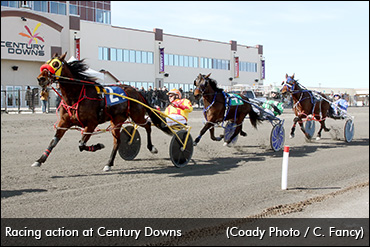 Update On Racing In Alberta