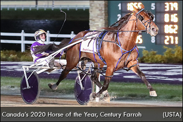 Century Farroh Retired, To Stud