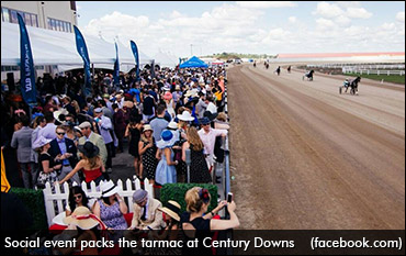 Century Downs Looking To Expand