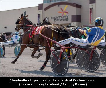 Big Handle Jump At Century Downs