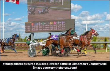 Praise For Century Mile Surface