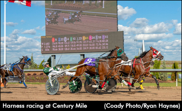 Harness Racing Returns To Century Mile