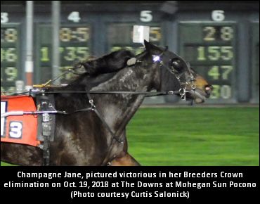 Champagne Jane Looks To Pop Cork 