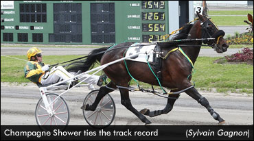 Champagne Shower Ties 3R Record