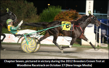 Chapter Seven To Stand In New York