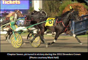 Chapter Seven Voted U.S. Horse Of The Year