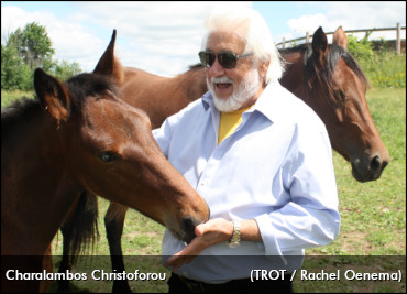 The Greek: Passion Personified