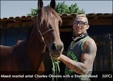 Harness Racing's 'Ultimate' Fan