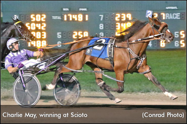 Milstein Memorial Field Set