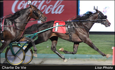 Hambletonian Within Reach For Ryder