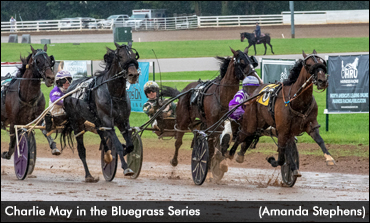 Charlie May Bests Perfect Sting In Bluegrass