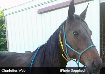 Rare Feat This Past Weekend