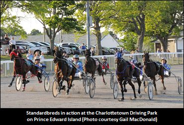 Red Shores Preferred To ‘Adkins’