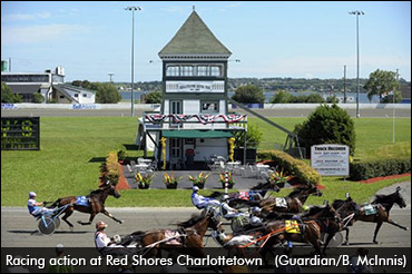 Nogreatmischief Favoured At Red Shores