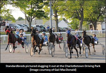 Strong Season At Red Shores