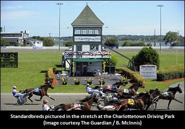 Pacing Mares To Spar In Canadian Harness Racing Opener