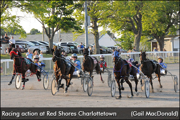 Atlantic Breeders Crown Cards Set