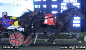 Harvest Repeat For Charmbo Brie