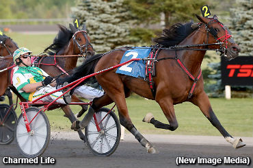 Charmed Life A Millionaire