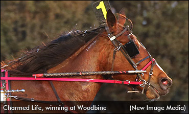 Charmed Life Cruises In Preferred