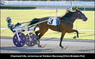 ON-Sired Mare Tops In Yonkers Open