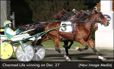 Charmed Life Triples At Woodbine