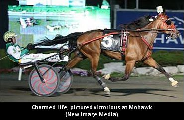 Menary On His “Franchise Player”