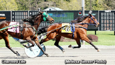 Saratoga Open Trot To Charmed Life