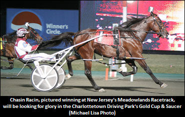 Chasin Racin To Gold Cup & Saucer