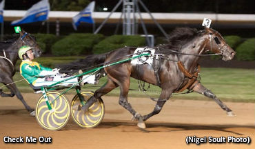 Check Me Out Cruises In Bluegrass