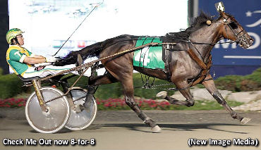 Rookie Trotting Fillies Spar In Champlain