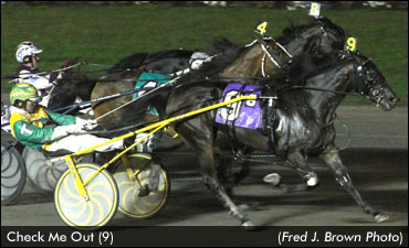 Check Me Out Tackles Older Trotters