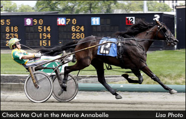 Check Out This Undefeated Filly