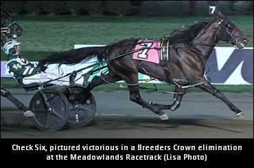 Check Six To Stud In 2019