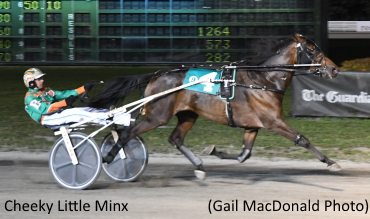 Record Mile For Cheeky Little Minx Record Mile For Cheeky Little Minx
