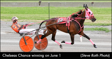 Chelseas Chance Trots To Record Victory