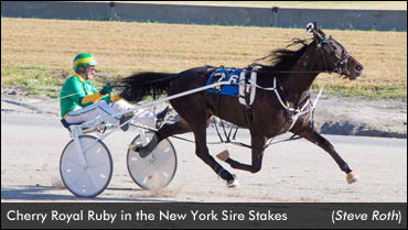 Cherry Royal Ruby Shines In Stakes