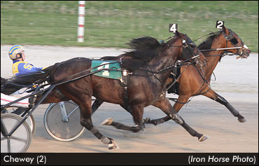Chewey Wires Preferred Trotting Foes