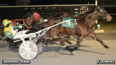 Cheyenne Robin On A Roll