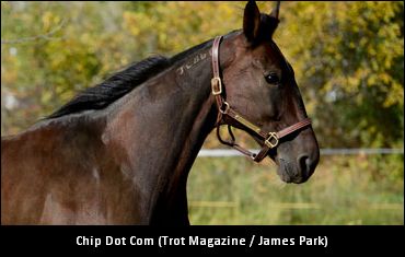 Chip Dot Com Passes