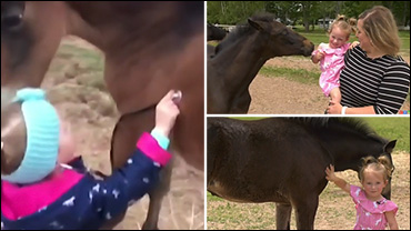 Friends At First Sight