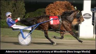 “He’s Been Getting Better And Better"