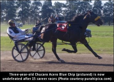 Fifteen Wins In A Row