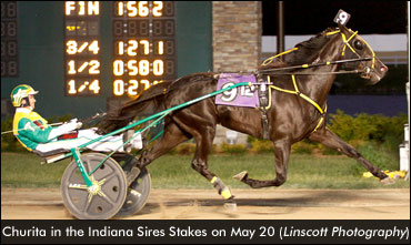 Indiana Champ Wins Sires Stakes Debut