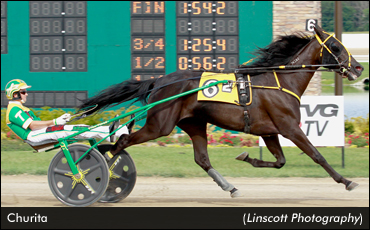 Undefeated Filly Boasts Star Power