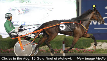 Favoured Fillies Lower Rideau Record