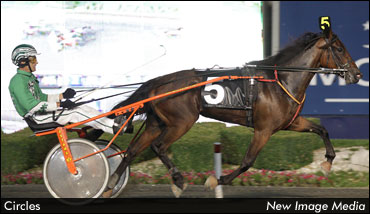 Circles Looks For Golden Repeat