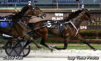 Cisco Hall Clicks In Trots & Slots